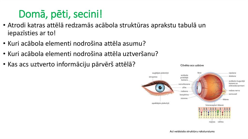 Domā, pēti, secini!