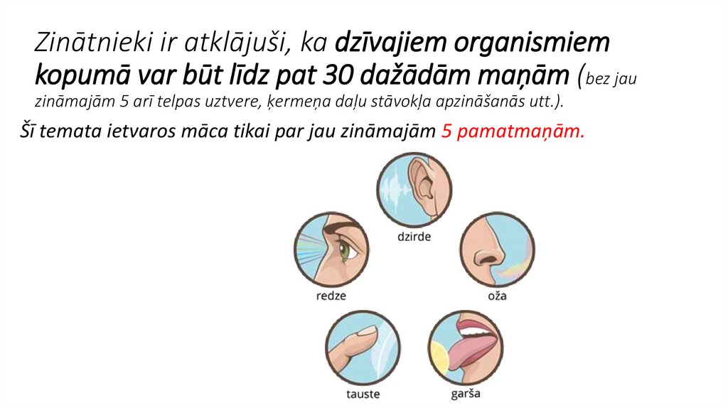 Zinātnieki ir atklājuši, ka dzīvajiem organismiem kopumā var būt līdz pat 30 dažādām maņām (bez jau zināmajām 5 arī telpas
