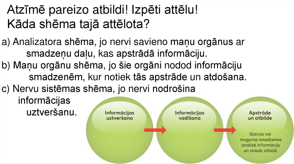Atzīmē pareizo atbildi! Izpēti attēlu! Kāda shēma tajā attēlota?