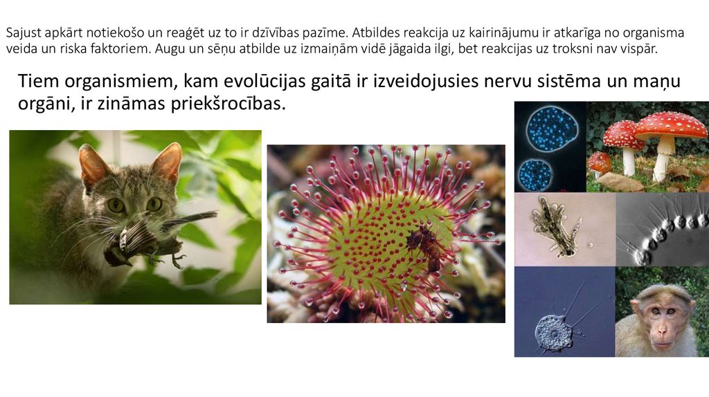 Sajust apkārt notiekošo un reaģēt uz to ir dzīvības pazīme. Atbildes reakcija uz kairinājumu ir atkarīga no organisma veida un