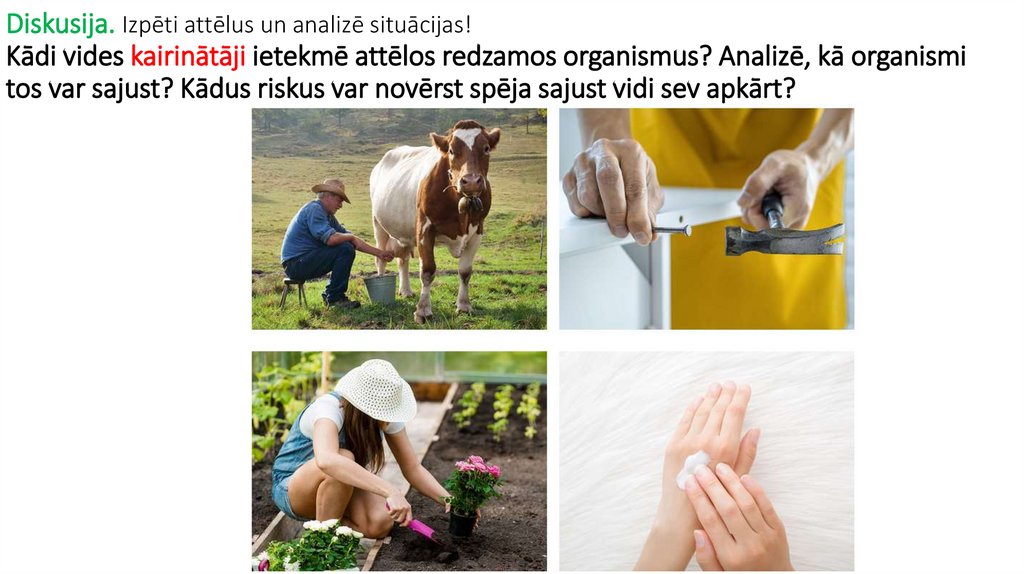 Diskusija. Izpēti attēlus un analizē situācijas! Kādi vides kairinātāji ietekmē attēlos redzamos organismus? Analizē, kā