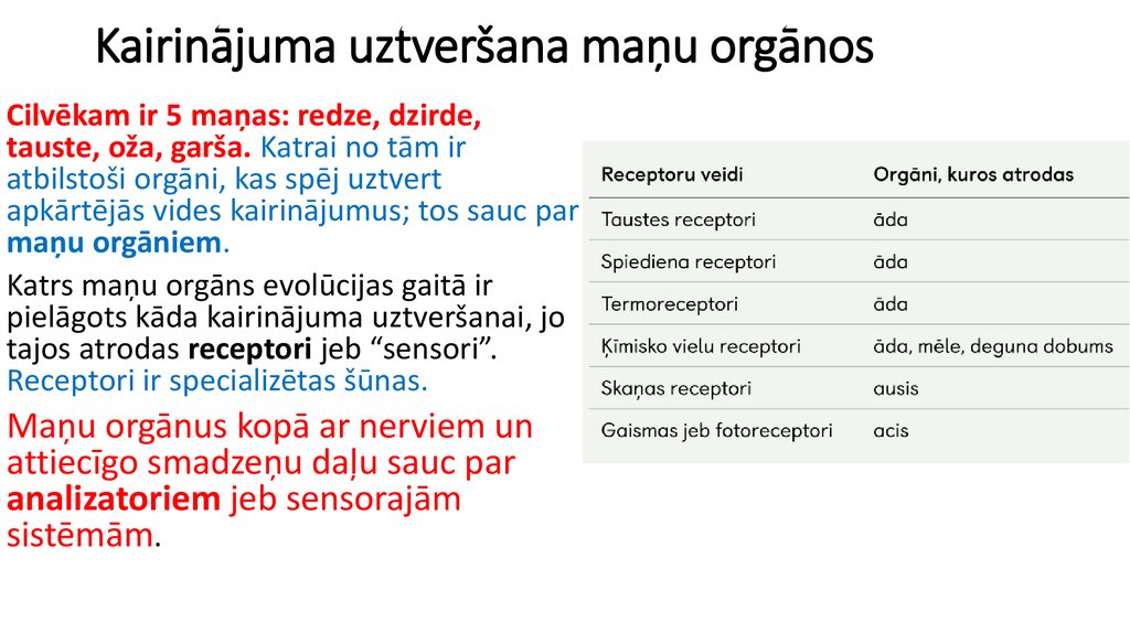 Kairinājuma uztveršana maņu orgānos