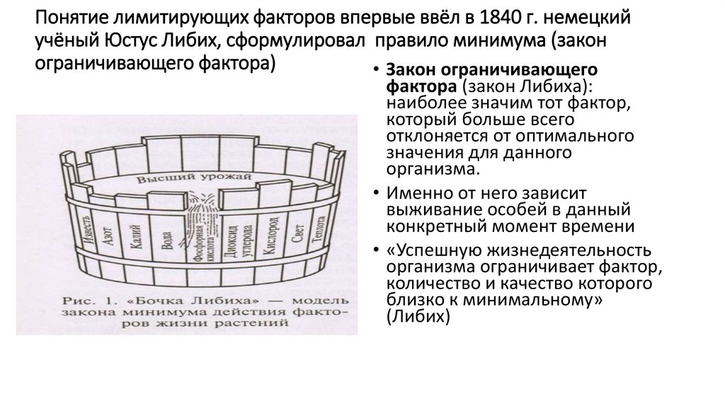Понятие лимитирующих факторов впервые ввёл в 1840 г. немецкий учёный Юстус Либих, сформулировал правило минимума (закон