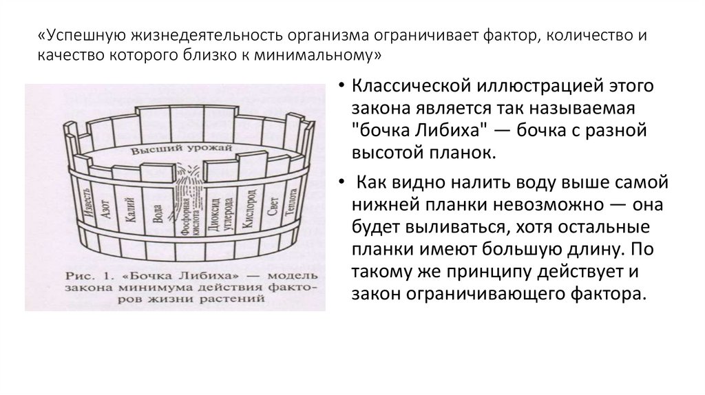«Успешную жизнедеятельность организма ограничивает фактор, количество и качество которого близко к минимальному»