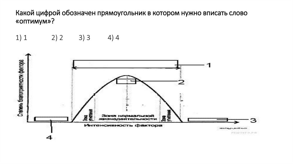Какой цифрой обозначен прямоугольник в котором нужно вписать слово «оптимум»?   1) 1 2) 2 3) 3 4) 4