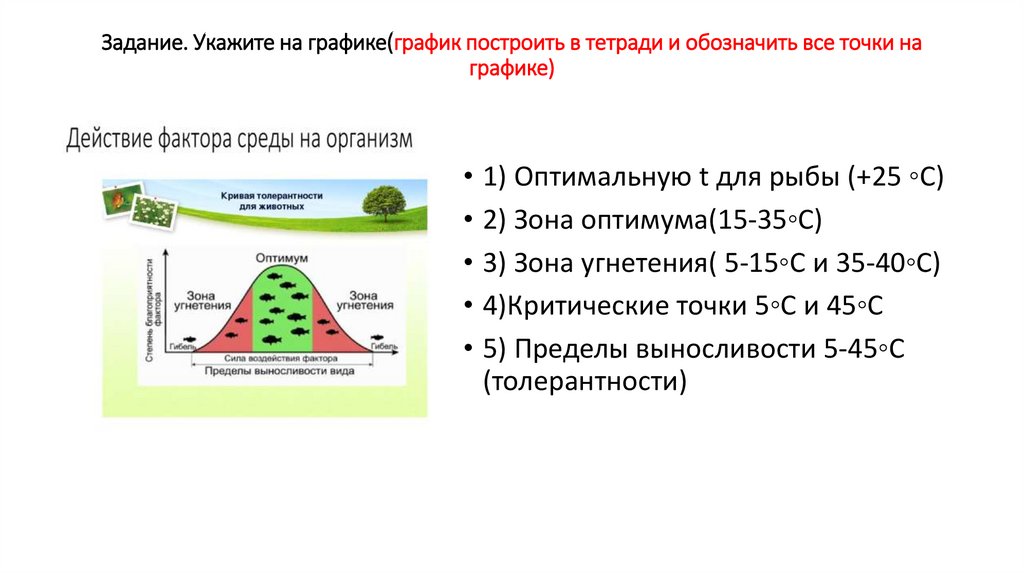 Задание. Укажите на графике(график построить в тетради и обозначить все точки на графике)