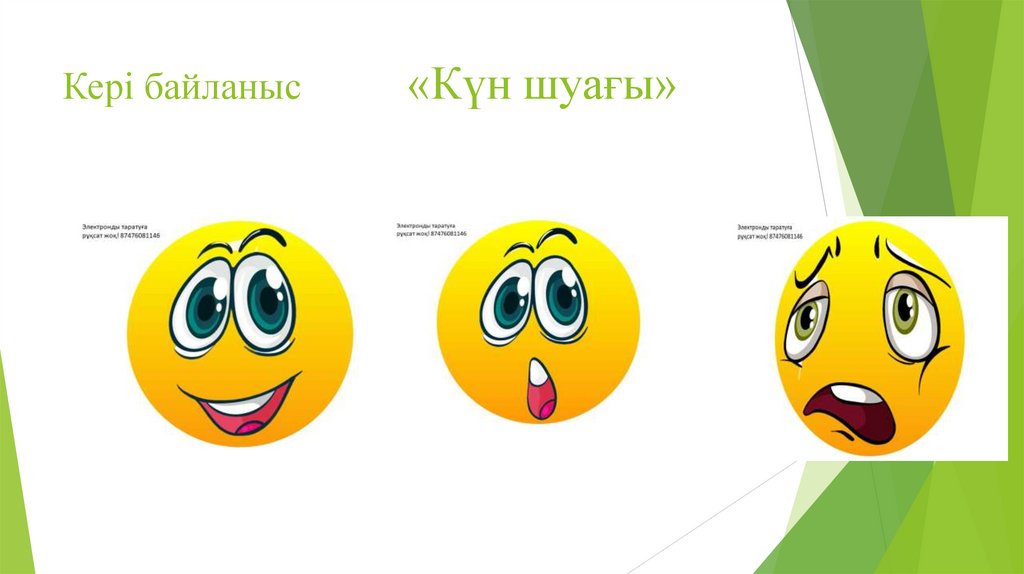 Кері байланыс «Күн шуағы»