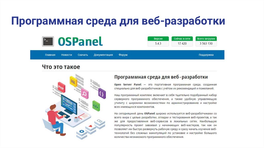 Программная среда для веб-разработки