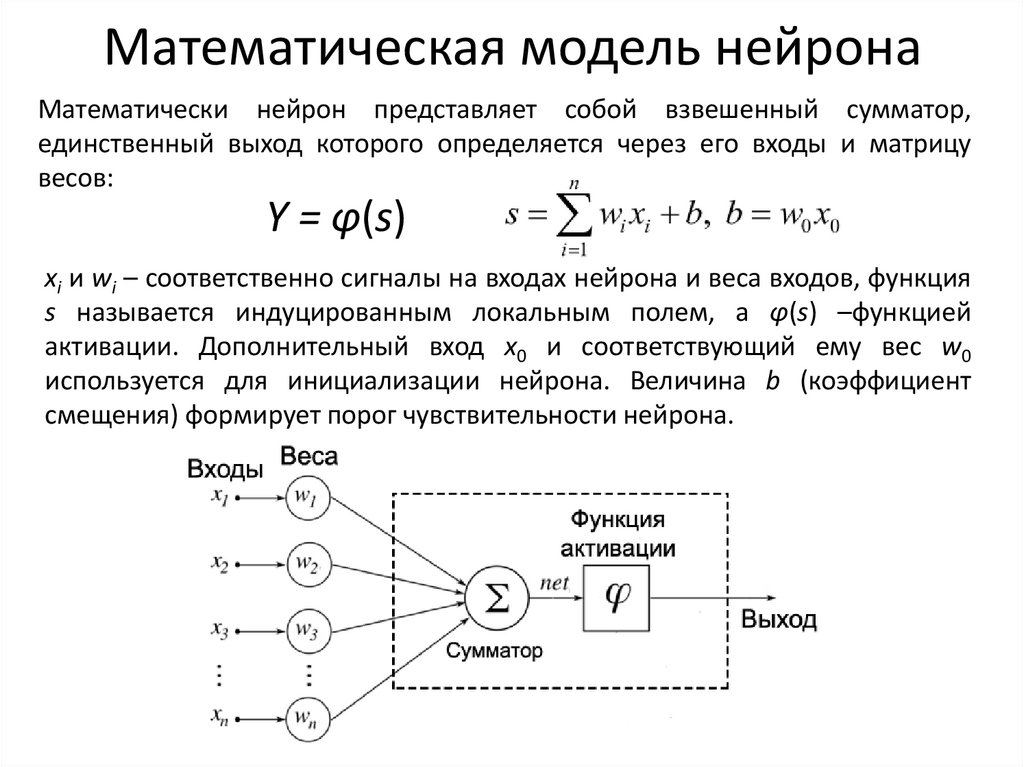 Математическая модель нейрона