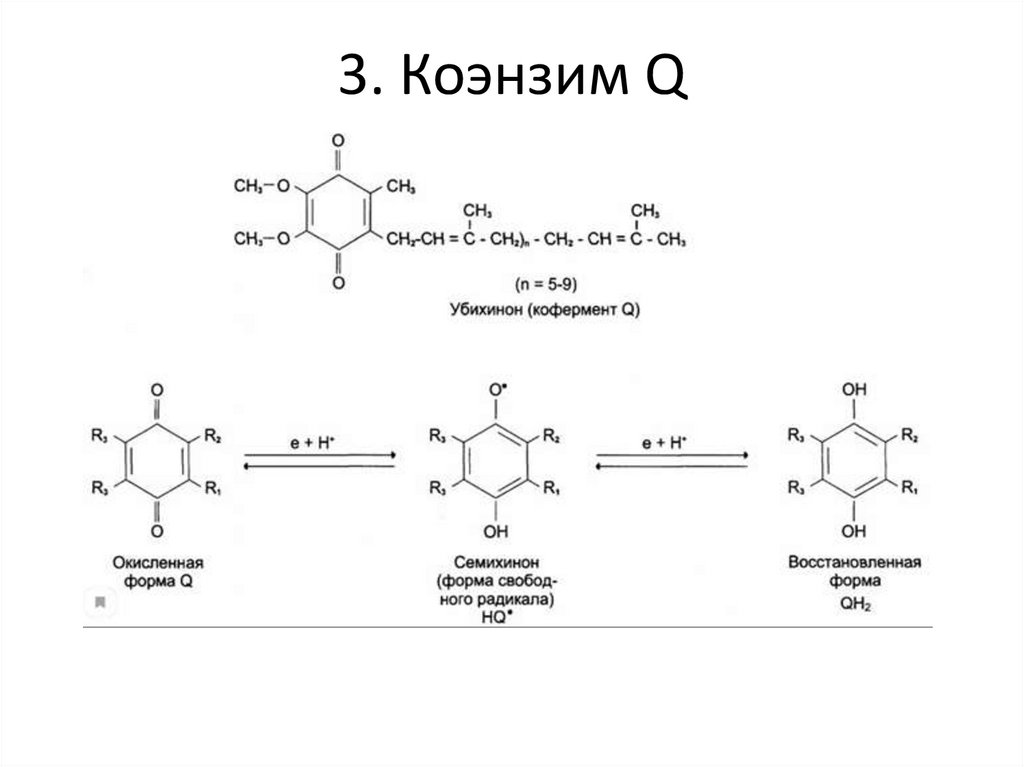 3. Коэнзим Q