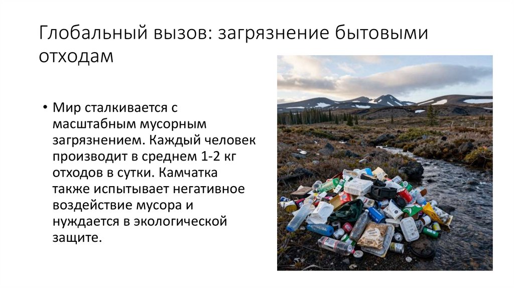 Глобальный вызов: загрязнение бытовыми отходам