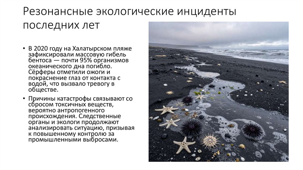 Резонансные экологические инциденты последних лет