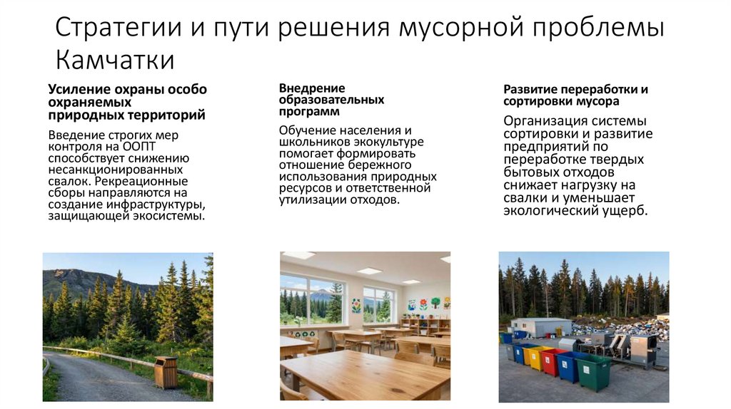 Стратегии и пути решения мусорной проблемы Камчатки
