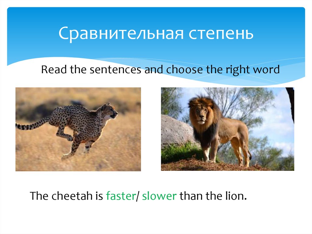 Сравнительная степень