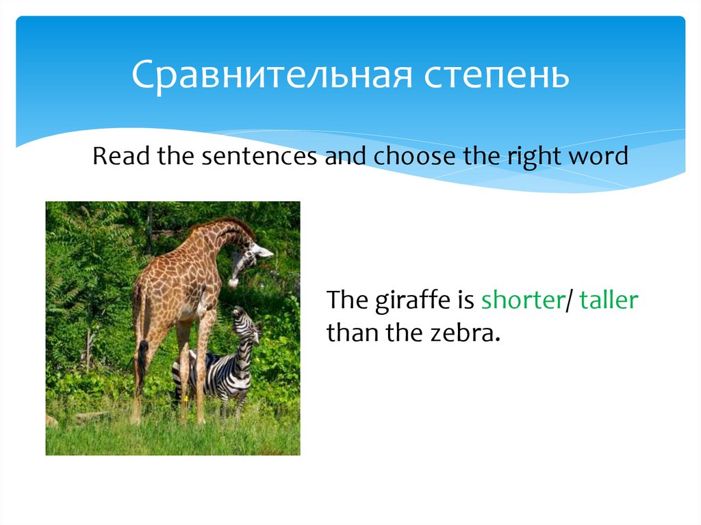 Сравнительная степень