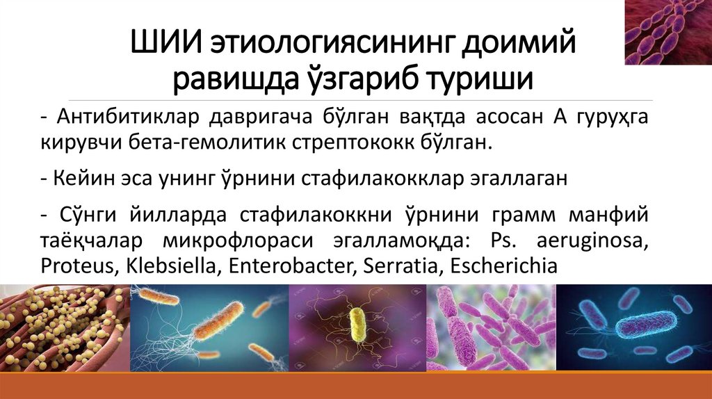 ШИИ этиологиясининг доимий равишда ўзгариб туриши