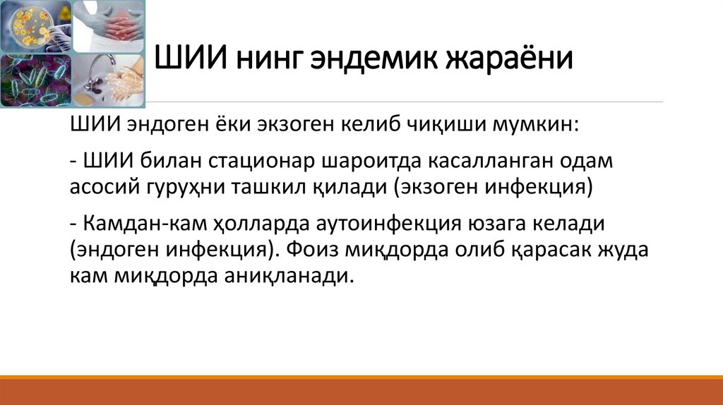 ШИИ нинг эндемик жараёни