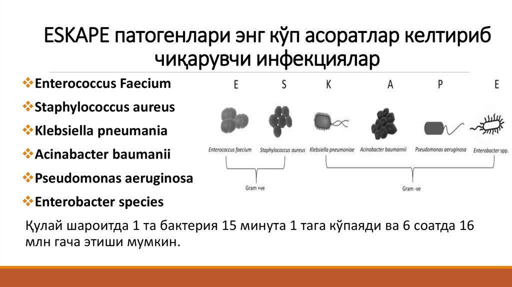 ESKAPE патогенлари энг кўп асоратлар келтириб чиқарувчи инфекциялар