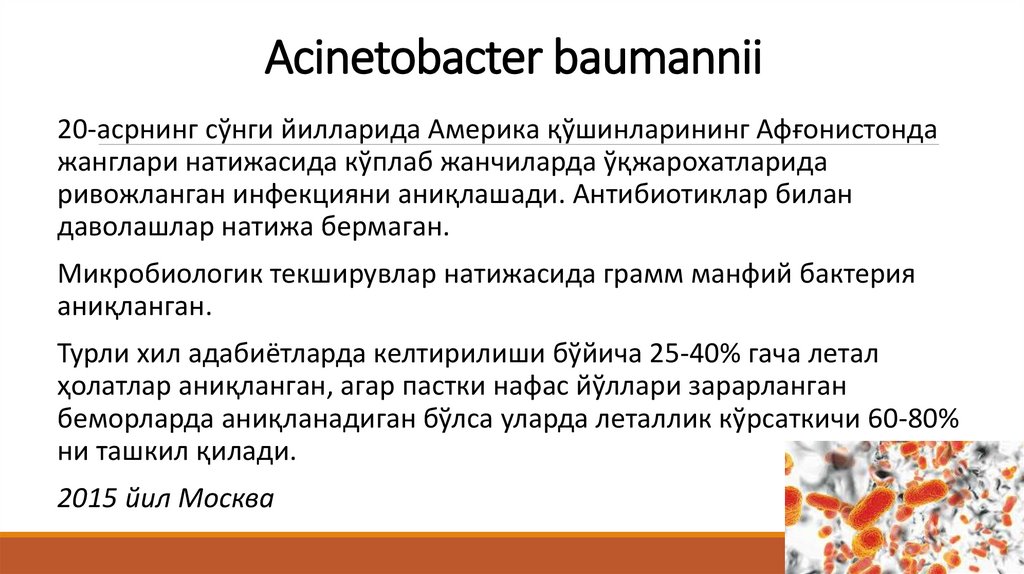 Acinetobacter baumannii