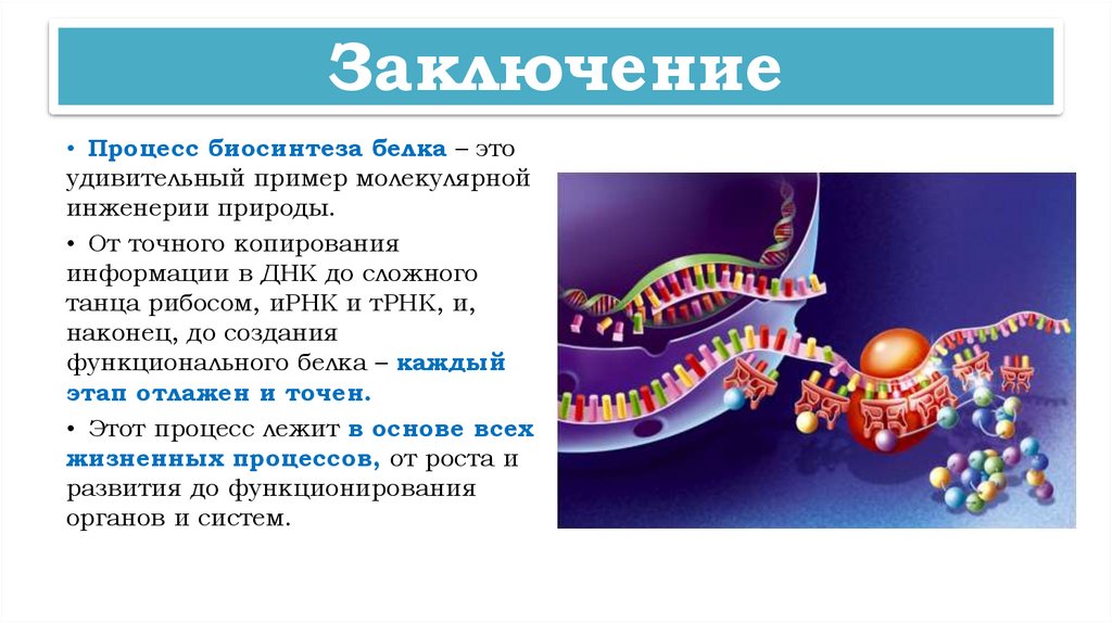 Заключение