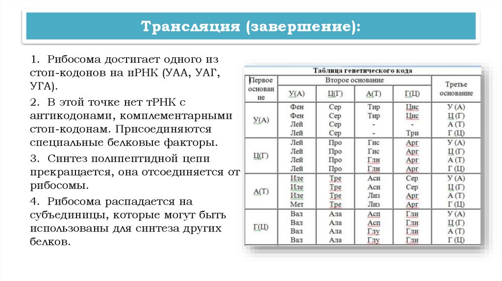 Трансляция (завершение):