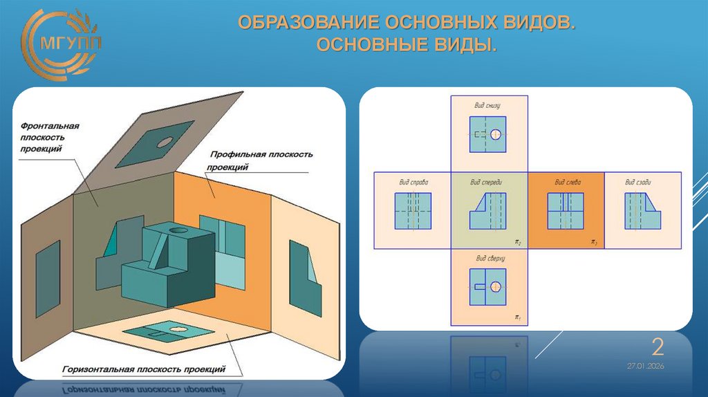 Образование основных видов. основные виды.