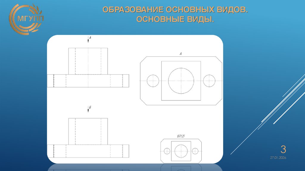 Образование основных видов. основные виды.