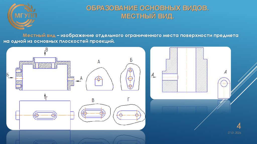 Образование основных видов. Местный вид.