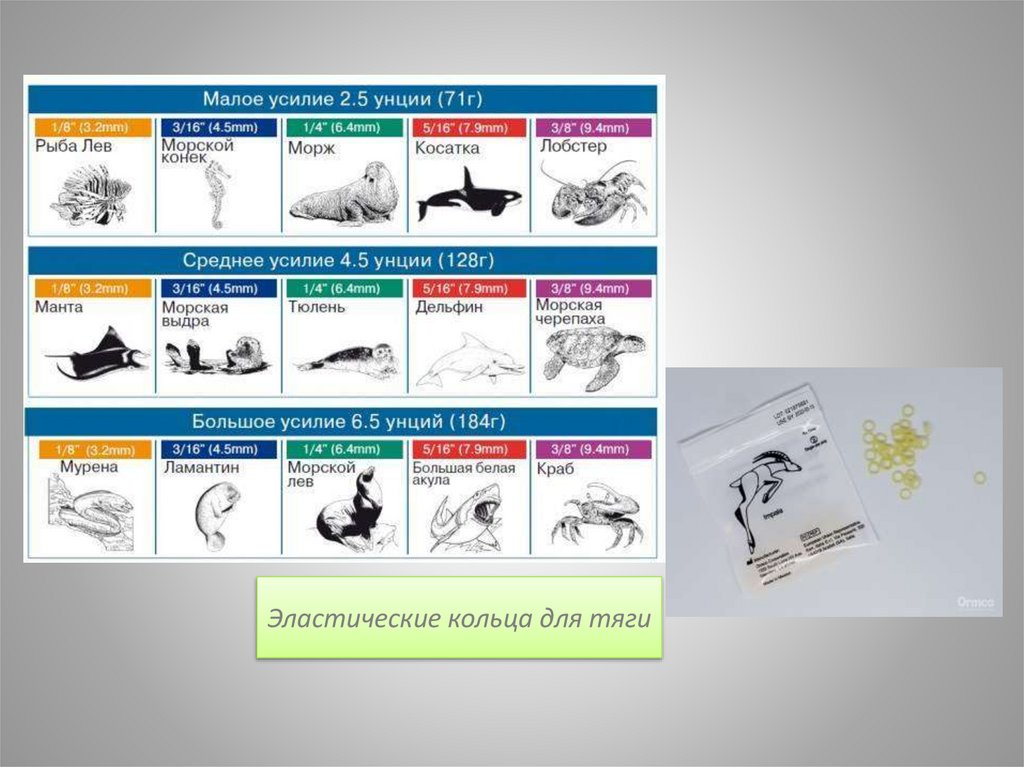 Эластические кольца для тяги