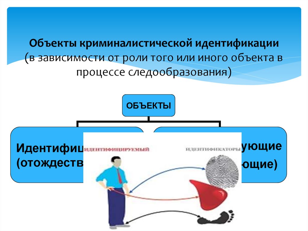 Объекты криминалистической идентификации (в зависимости от роли того или иного объекта в процессе следообразования)