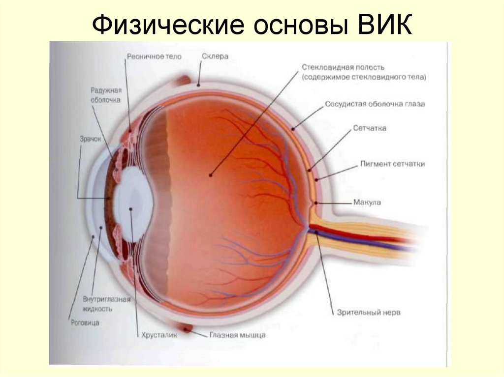 Физические основы ВИК