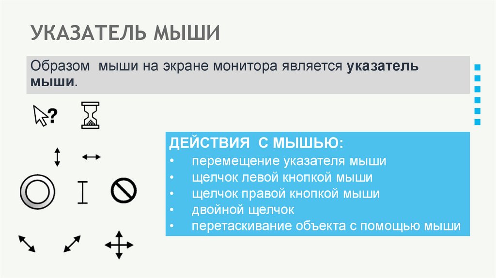 УКАЗАТЕЛЬ МЫШИ