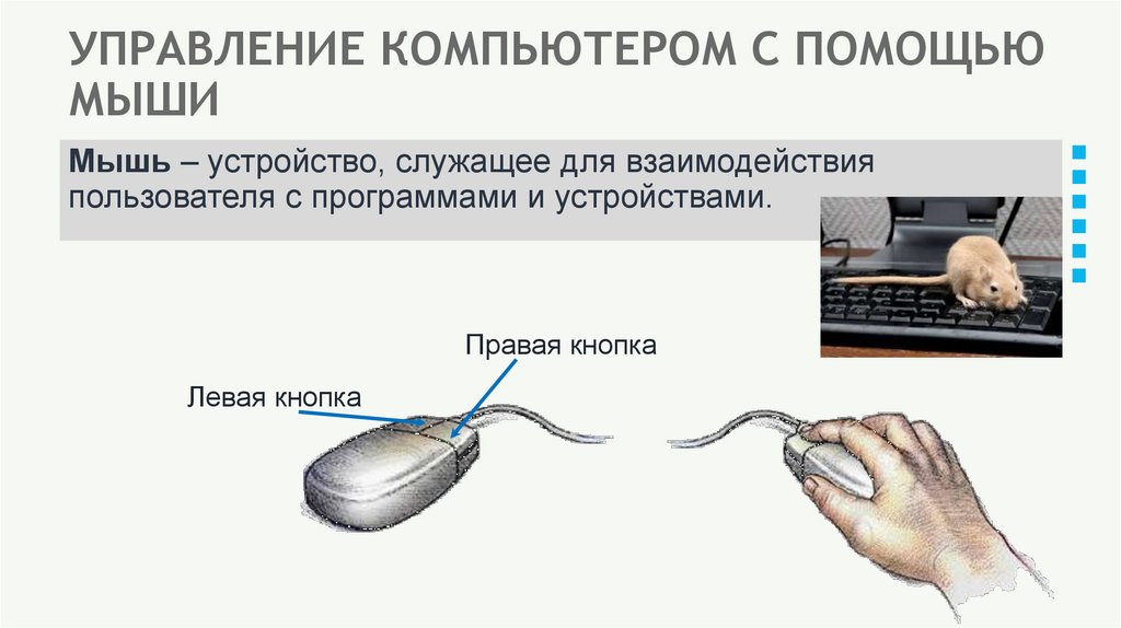 УПРАВЛЕНИЕ КОМПЬЮТЕРОМ С ПОМОЩЬЮ МЫШИ