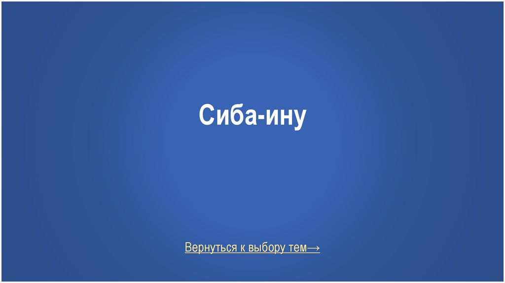 Сиба-ину