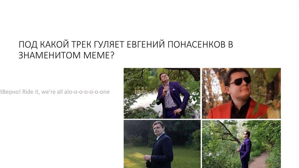 Какой породы собаки с мема «Качок Доге и Чимс»?