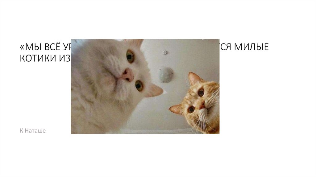 Мем под названием «Джим Халперт Улыбается Через Жалюзи» используется в сети, чтобы выразить чувство, будто кто-то наблюдает за