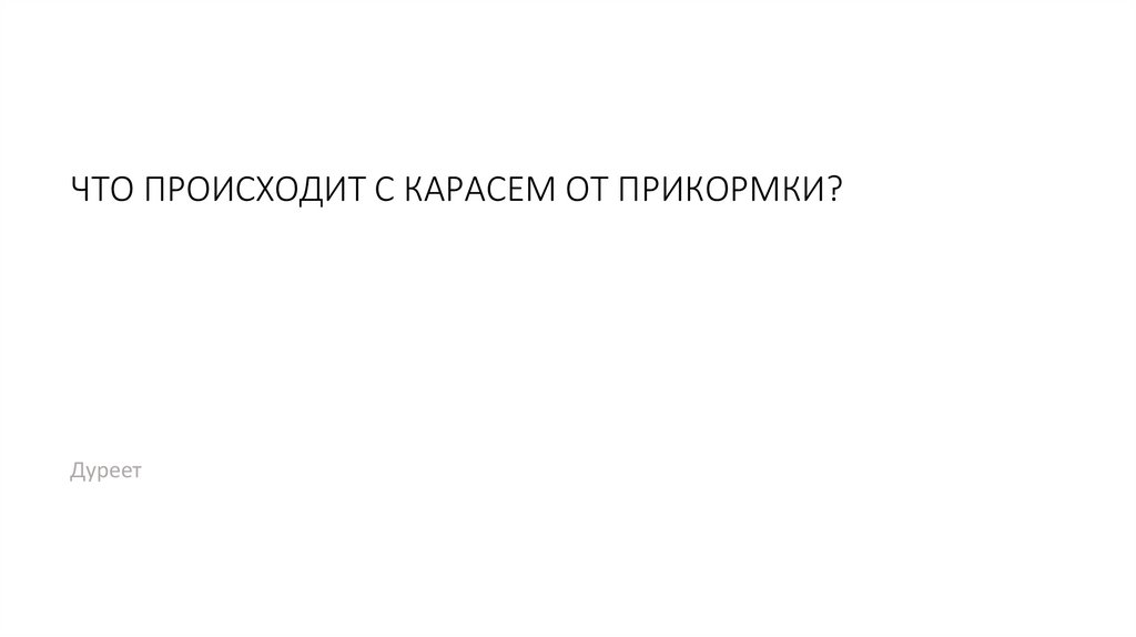 Что говорит Фродо Гэндальфу в этом меме?