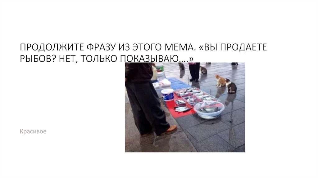 Какой отличительный знак у представителей мемного движения ЧВК “Редан”?