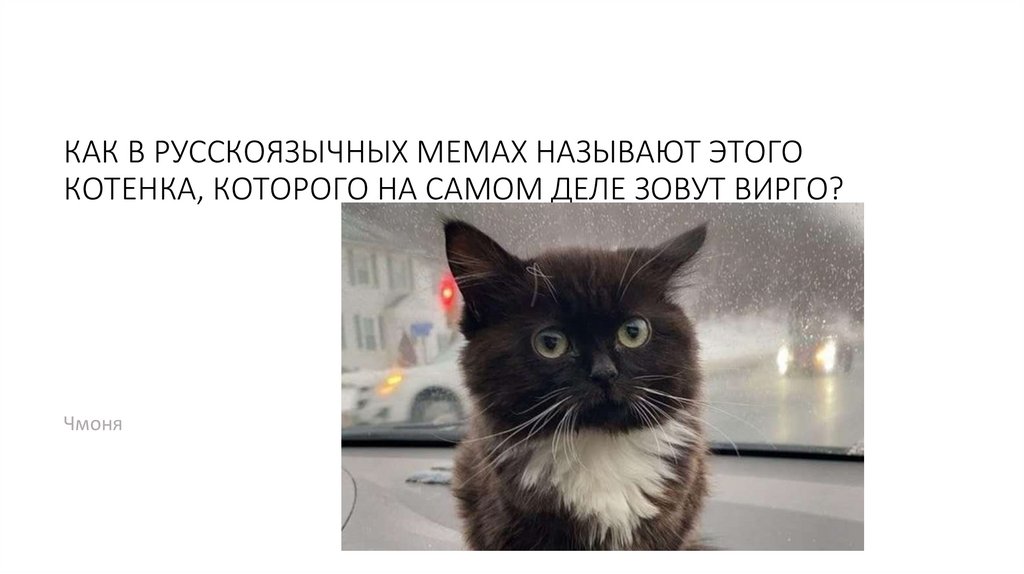 Как зовут дагестанского блогера, ставшего героем многих мемов?