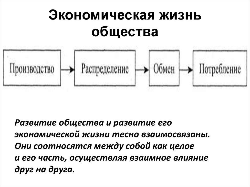 Экономическая жизнь общества