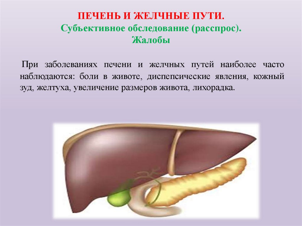 ПЕЧЕНЬ И ЖЕЛЧНЫЕ ПУТИ. Субъективное обследование (расспрос). Жалобы
