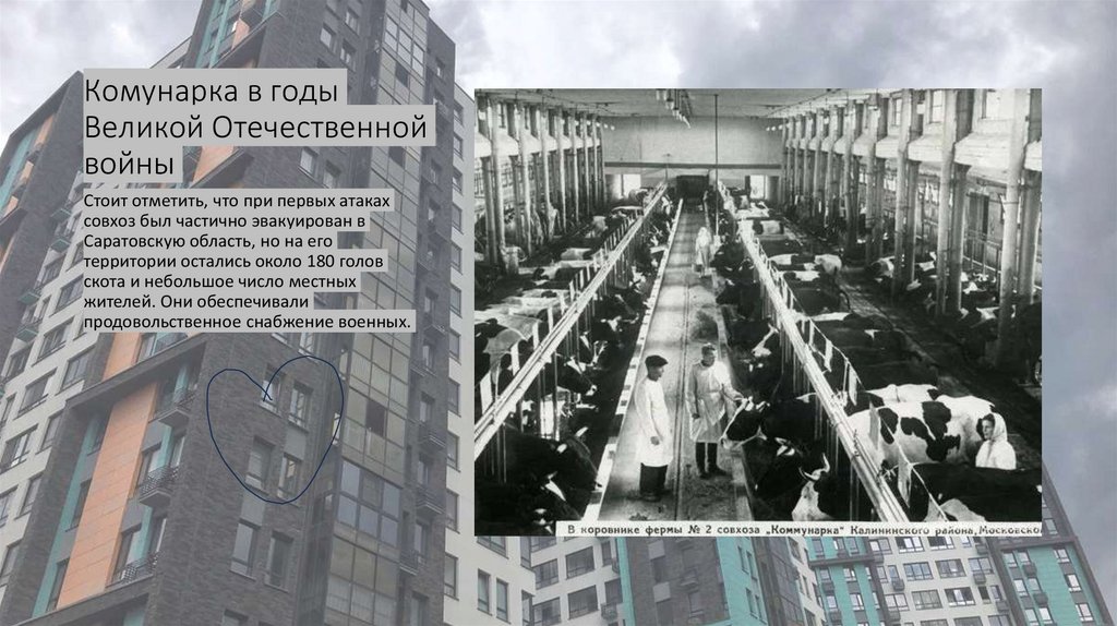 Комунарка в годы Великой Отечественной войны