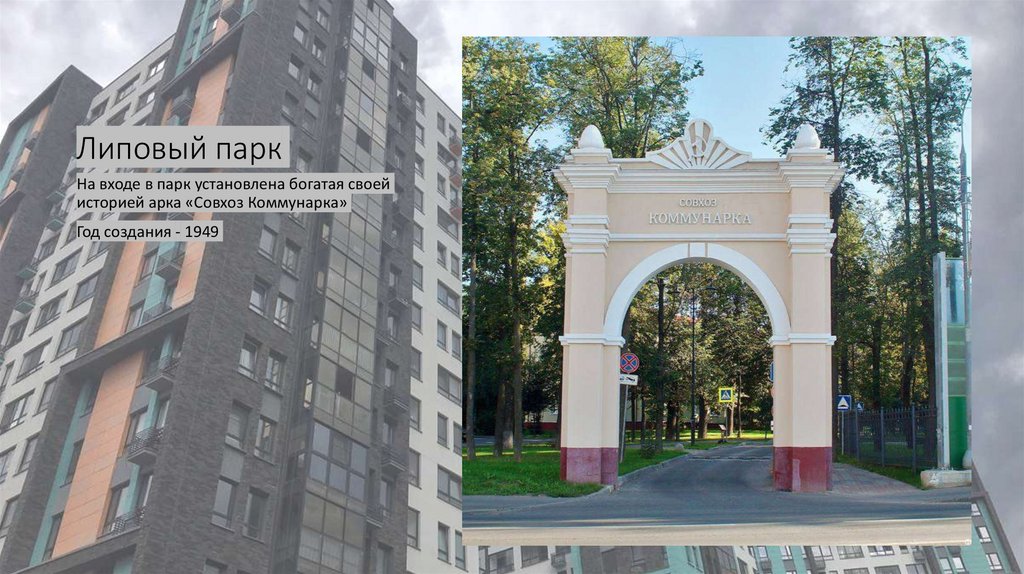 Липовый парк