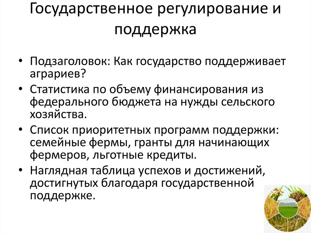 Государственное регулирование и поддержка