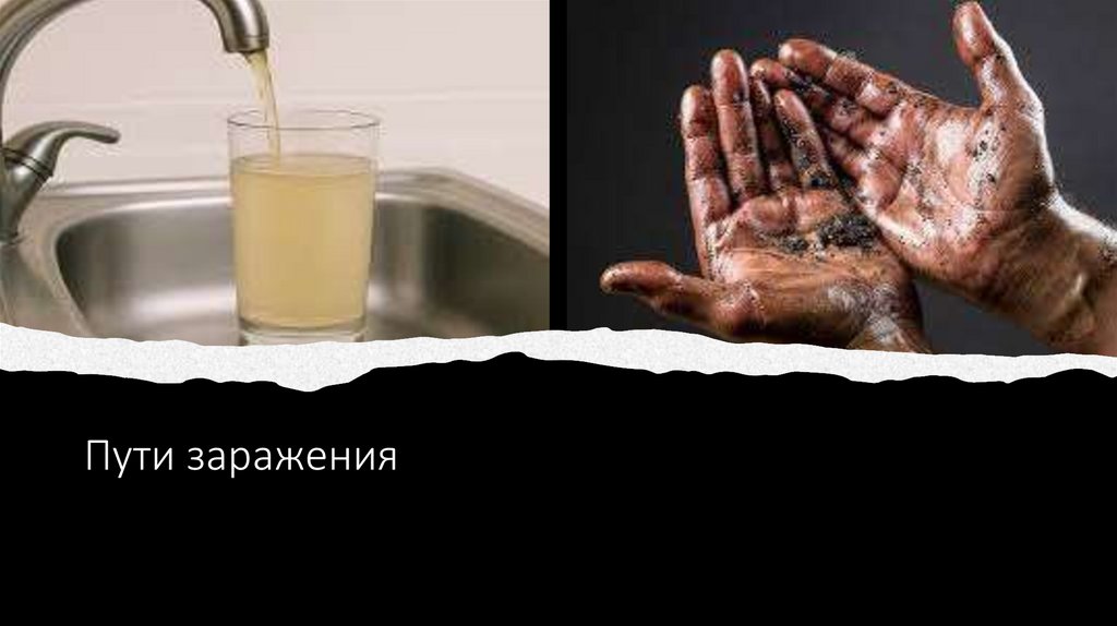 Пути заражения