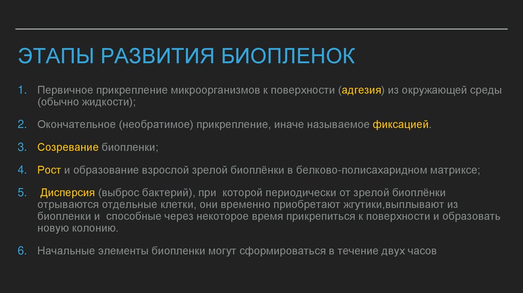Этапы развития биопленок