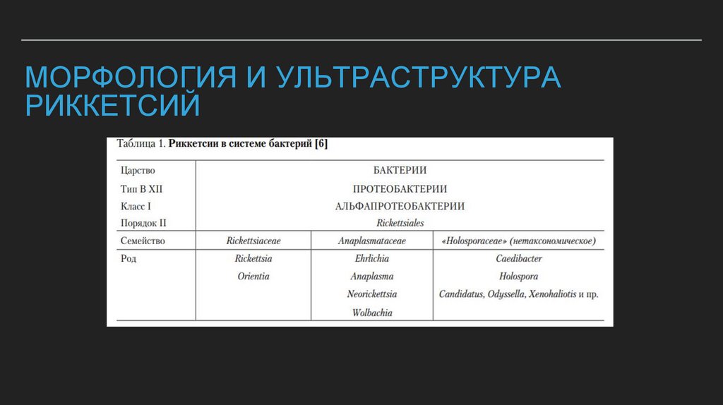Морфология и ультраструктура риккетсий