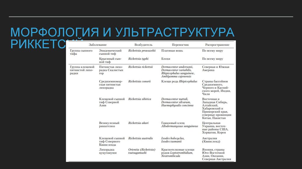 Морфология и ультраструктура риккетсий