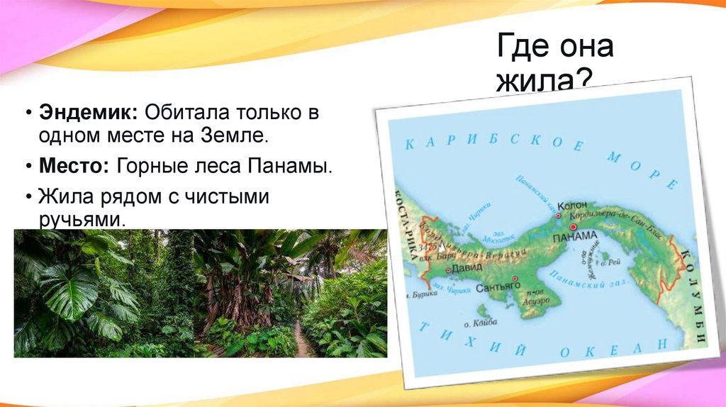 Где она жила?