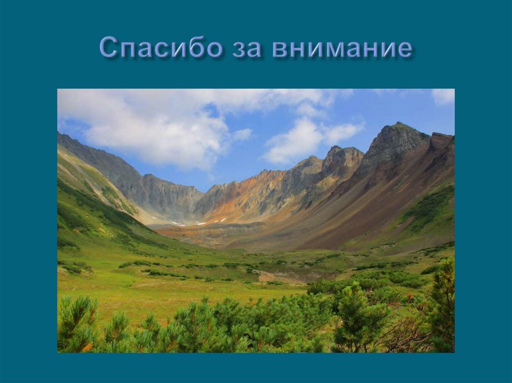 Спасибо за внимание